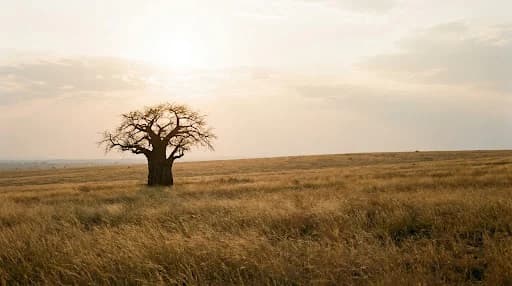 Malawi landscape in warm evening light