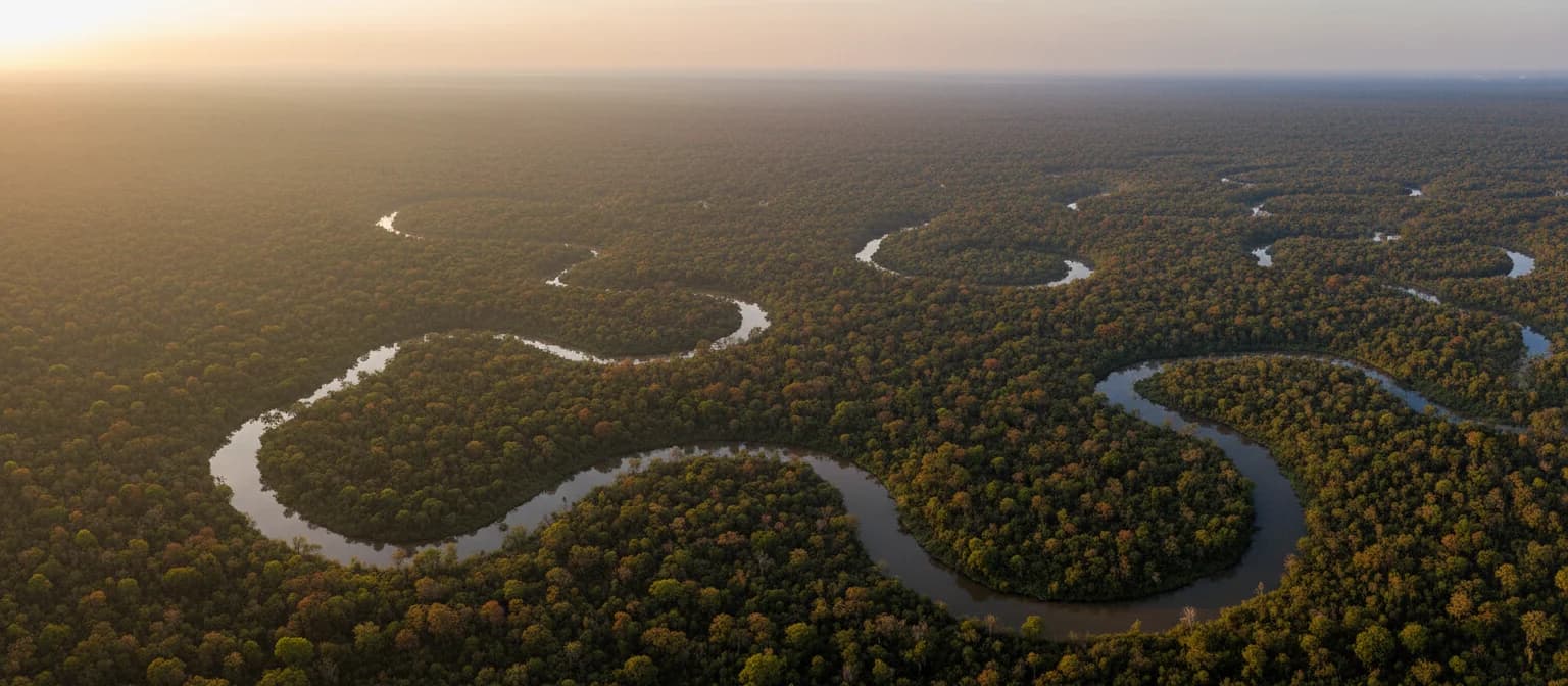 Central Malawi woodland and river
